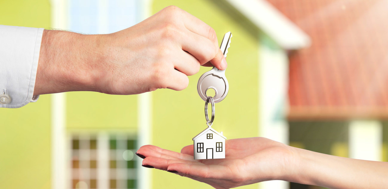 Rebecca (Plan: secure finance as a property developer/build and sell properties)
